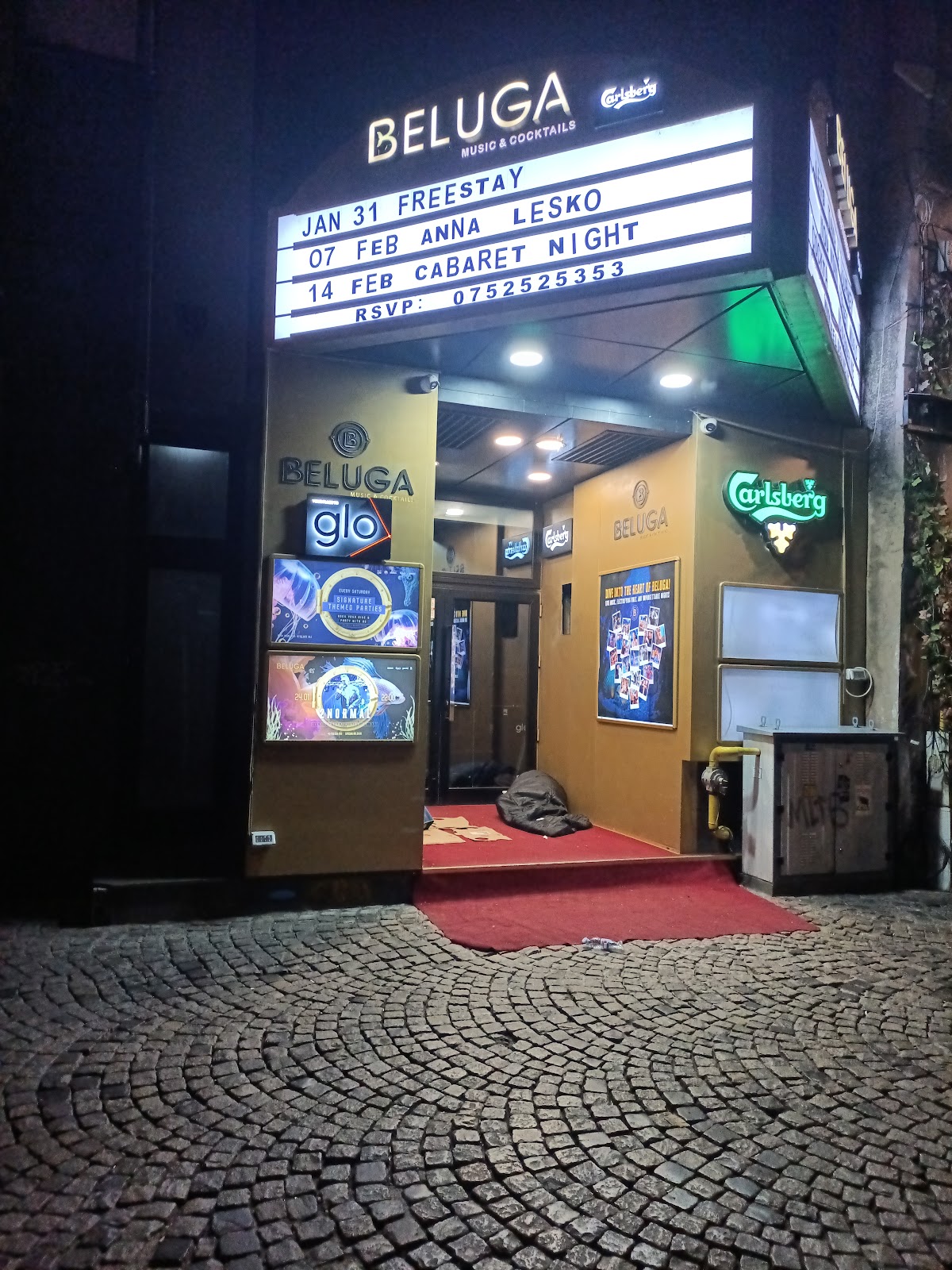 Beluga Music & Cocktails - foto 4