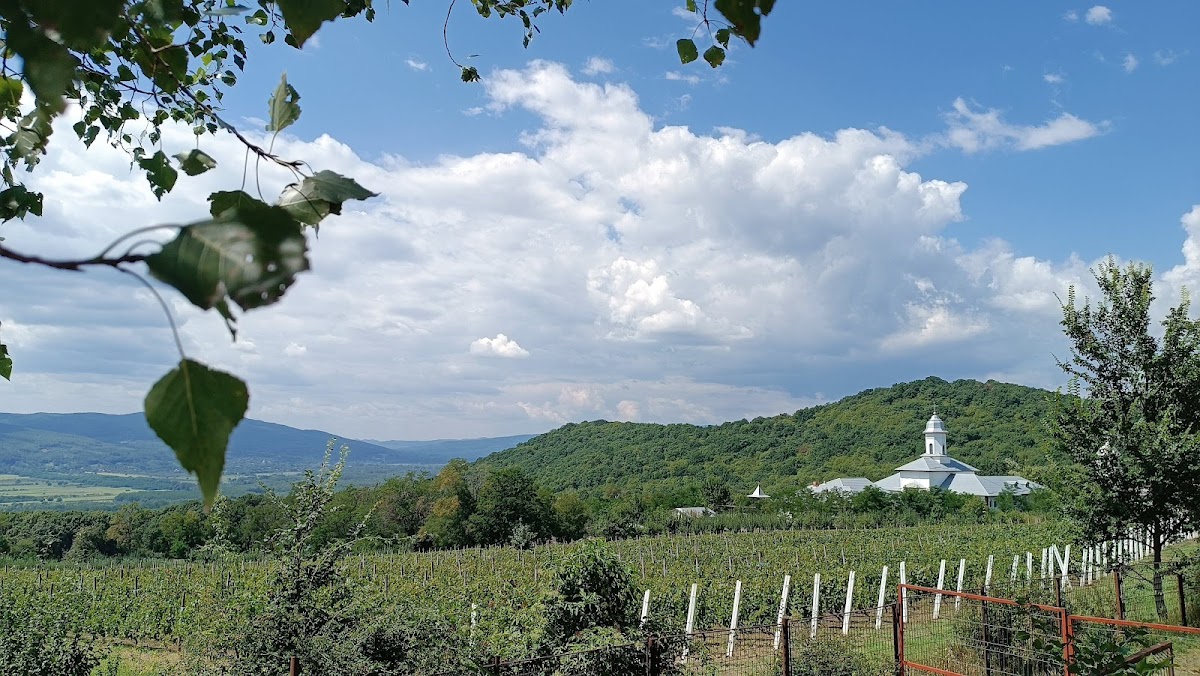 Belvedere Berca - foto 2