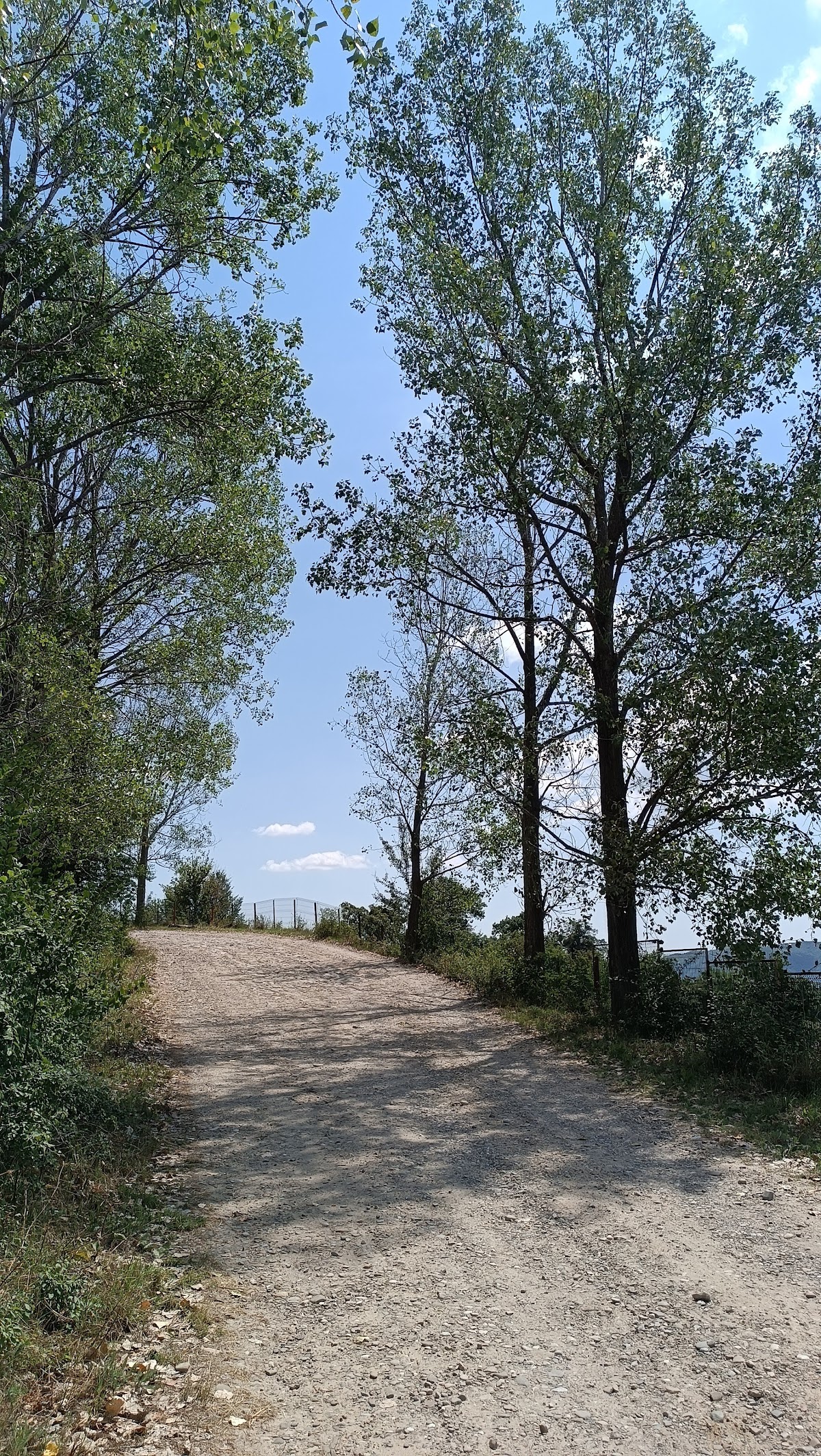 Belvedere Berca - foto 4