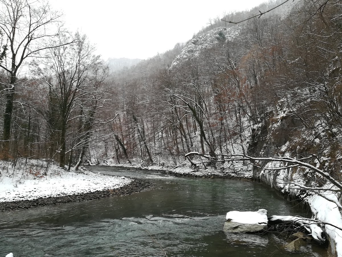 Belvedere la Terase - Vadu Crișului - foto 3