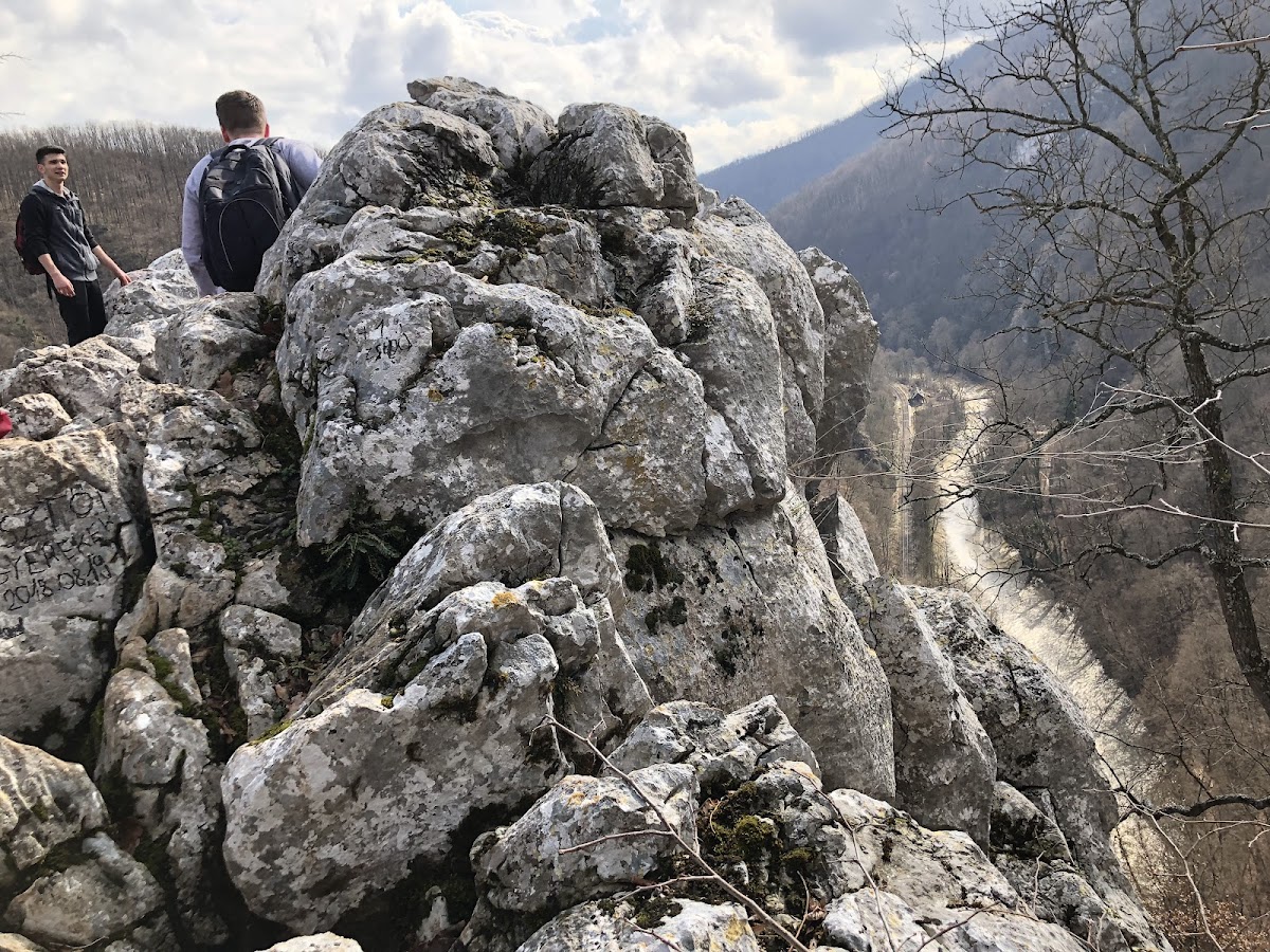 Belvedere la Terase - Vadu Crișului - foto 4
