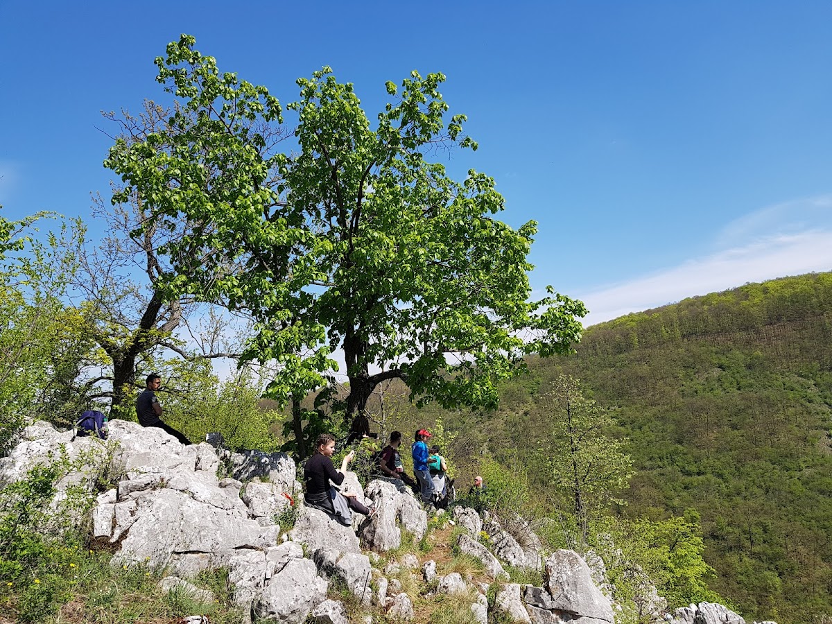 Belvedere la Terase - Vadu Crișului - foto 5