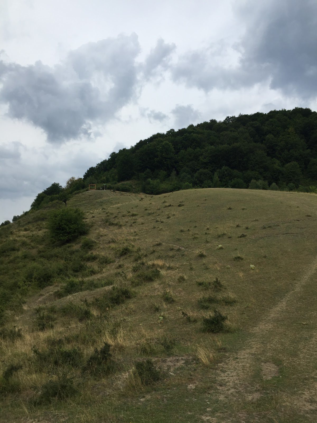 Belvedere Nehoiu - foto 4