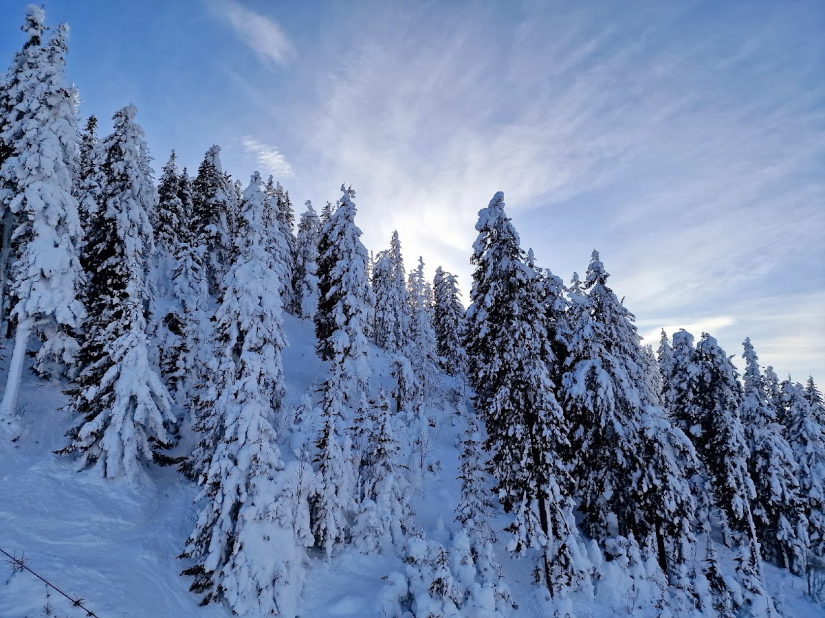 Belvedere Poiana Brașov - foto 1