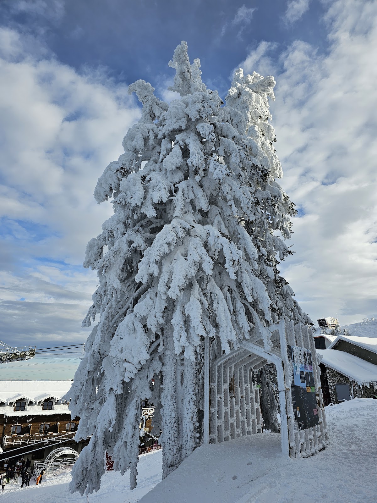 Belvedere Poiana Brașov - foto 5