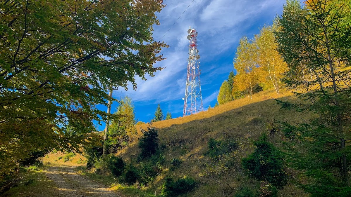 Belvedere Releu Măneciu - Vf. Poiana Mare - foto 5
