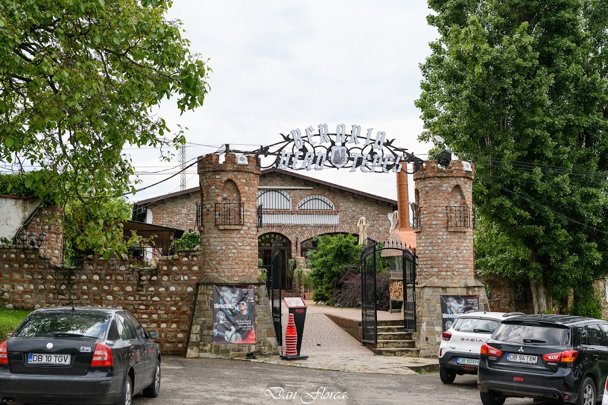 Berăria Vlad Țepeș - The Local Brewery - foto 5