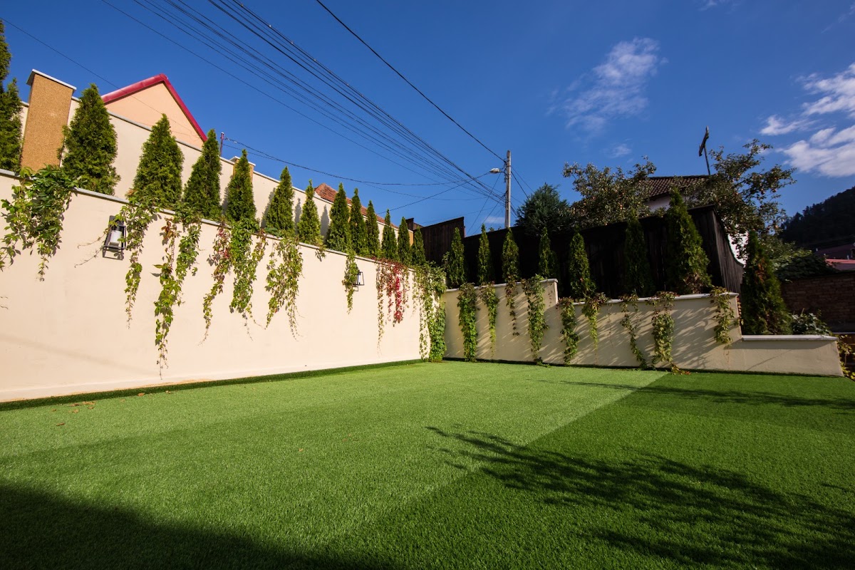 Berg House 31
