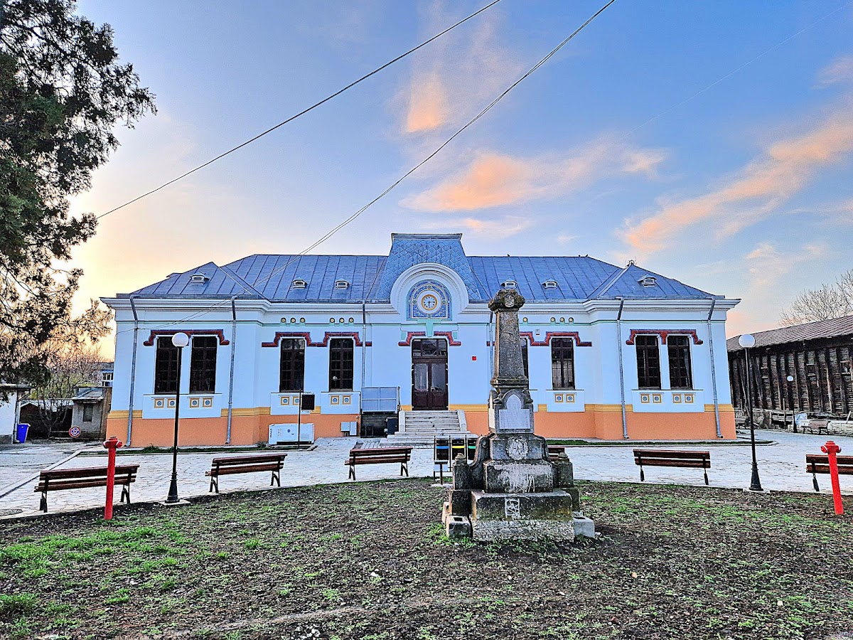 Biblioteca Municipală „Virgil Carianopol”
