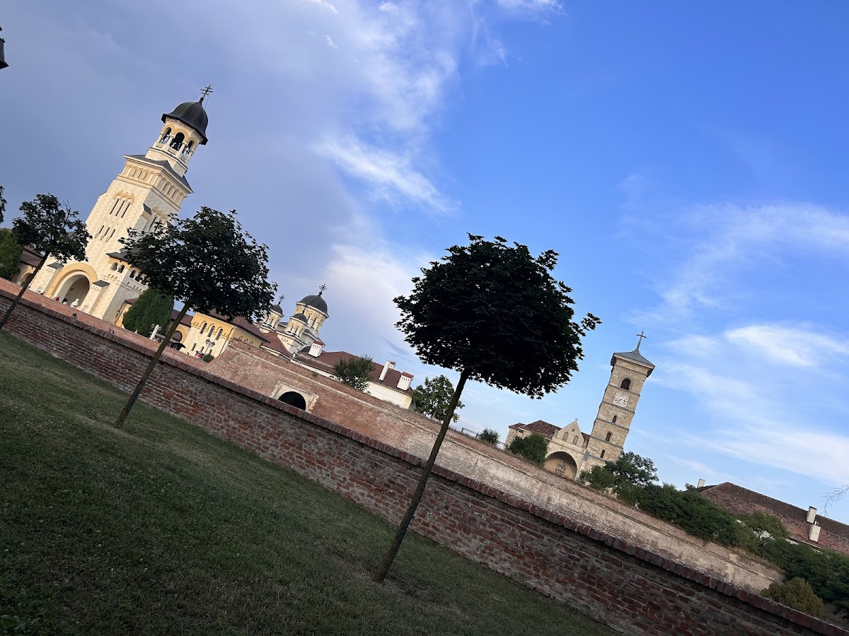 Bici Coffee Bar Alba Iulia - foto 3