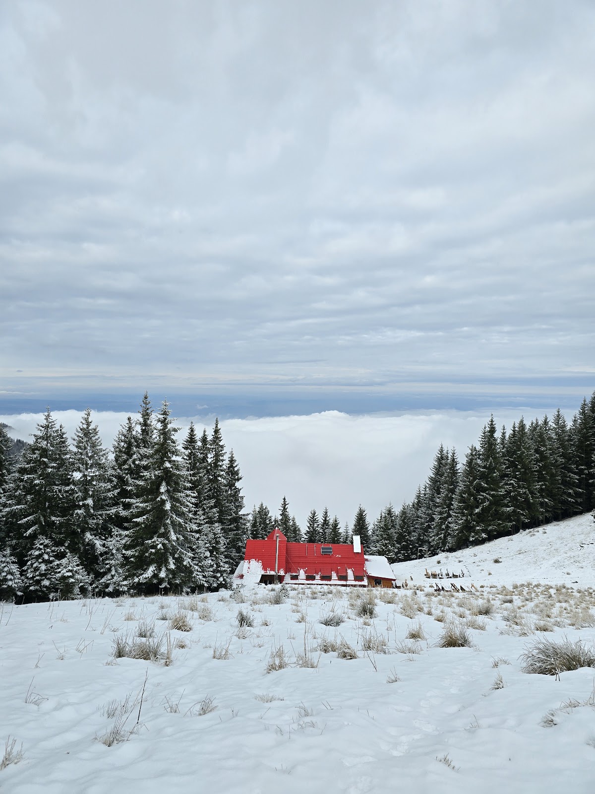 Jonction du Sentier Cabana Suru - foto 2
