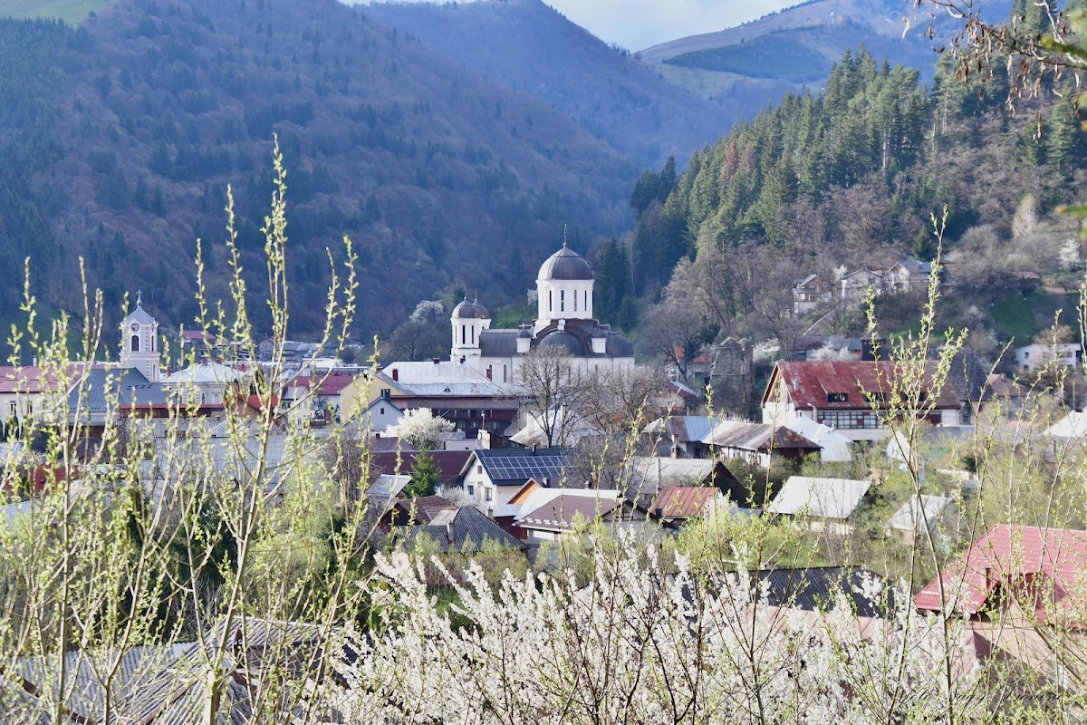 Biserica Adormirea Maicii Domnului - foto 2