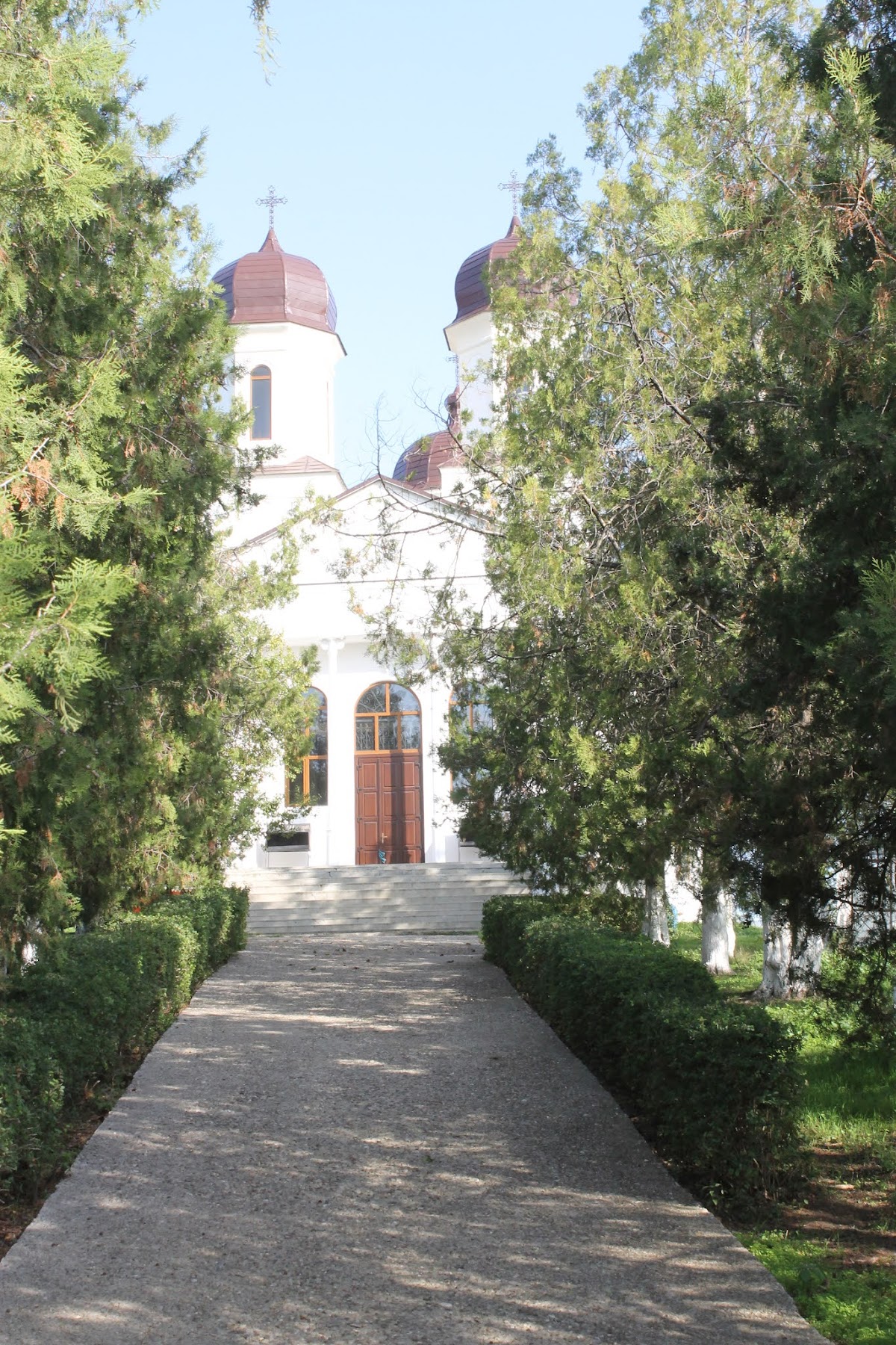 Église de l'Assomption de la Vierge Marie Fârțănești - foto 3