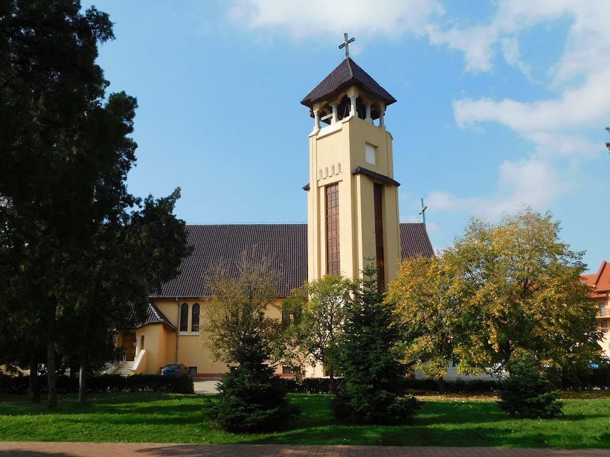 Église de l'Assomption de la Vierge Marie Oradea - foto 3