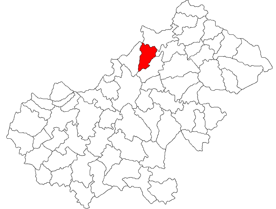 Biserica centrala Micula, Micula