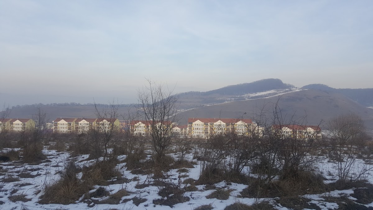 Chiesa Cristiana Pentecostale "Adorațio" - foto 4