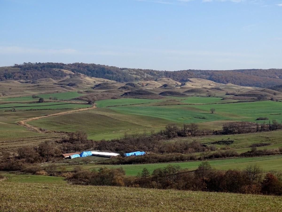 Biserica Evanghelică C.A. Movile - foto 3