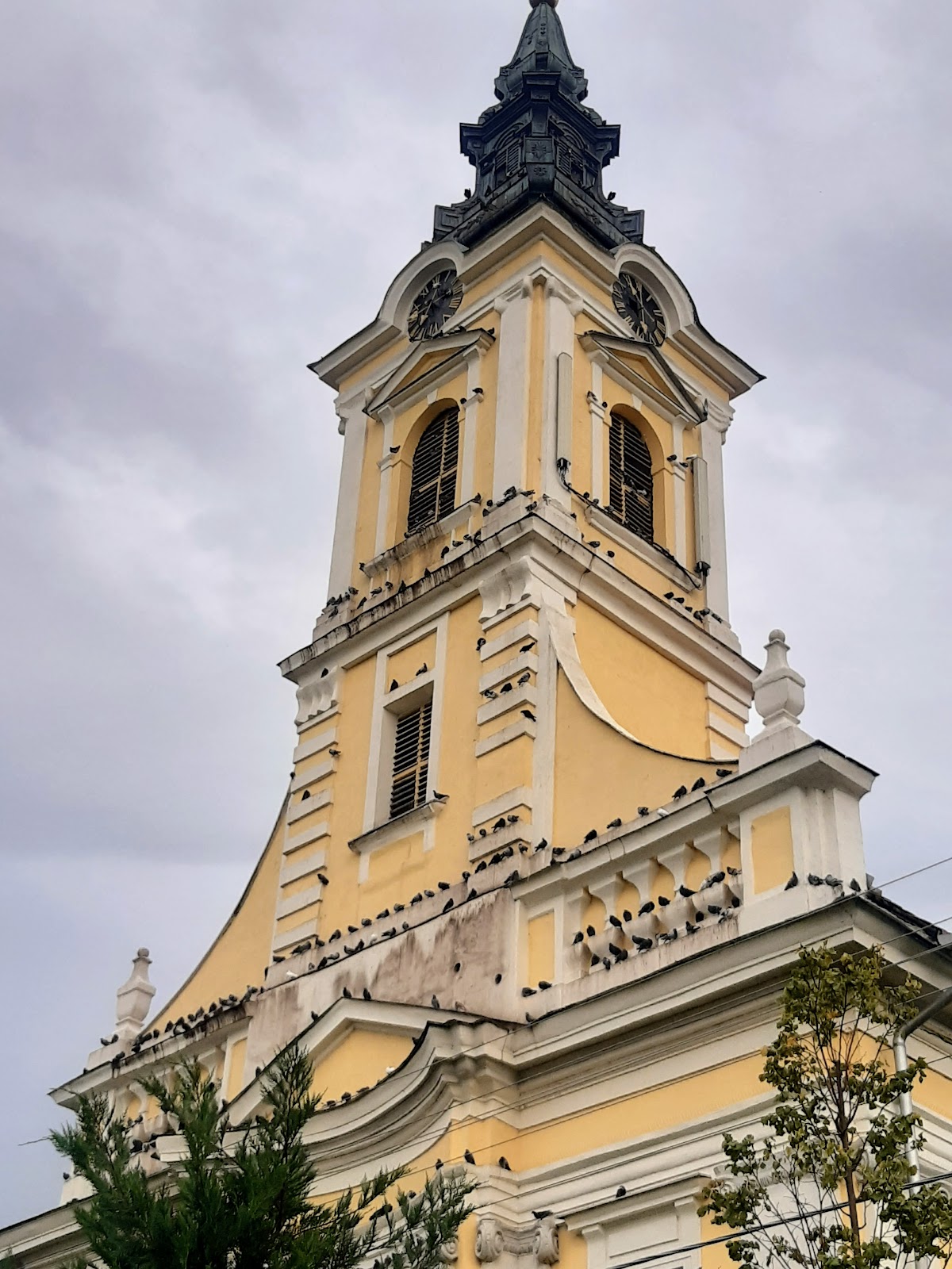 Biserica Evanghelică din Liebling - foto 5