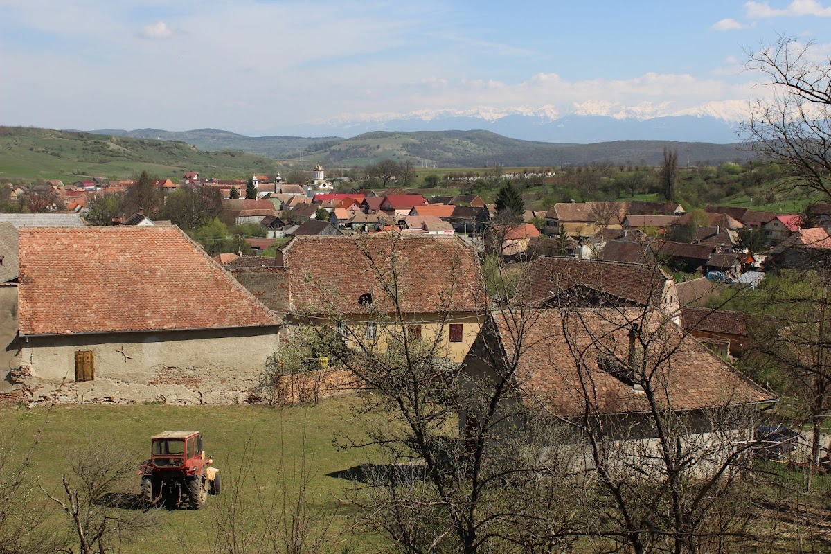 Biserica Fortificată Luterană Daia - foto 3