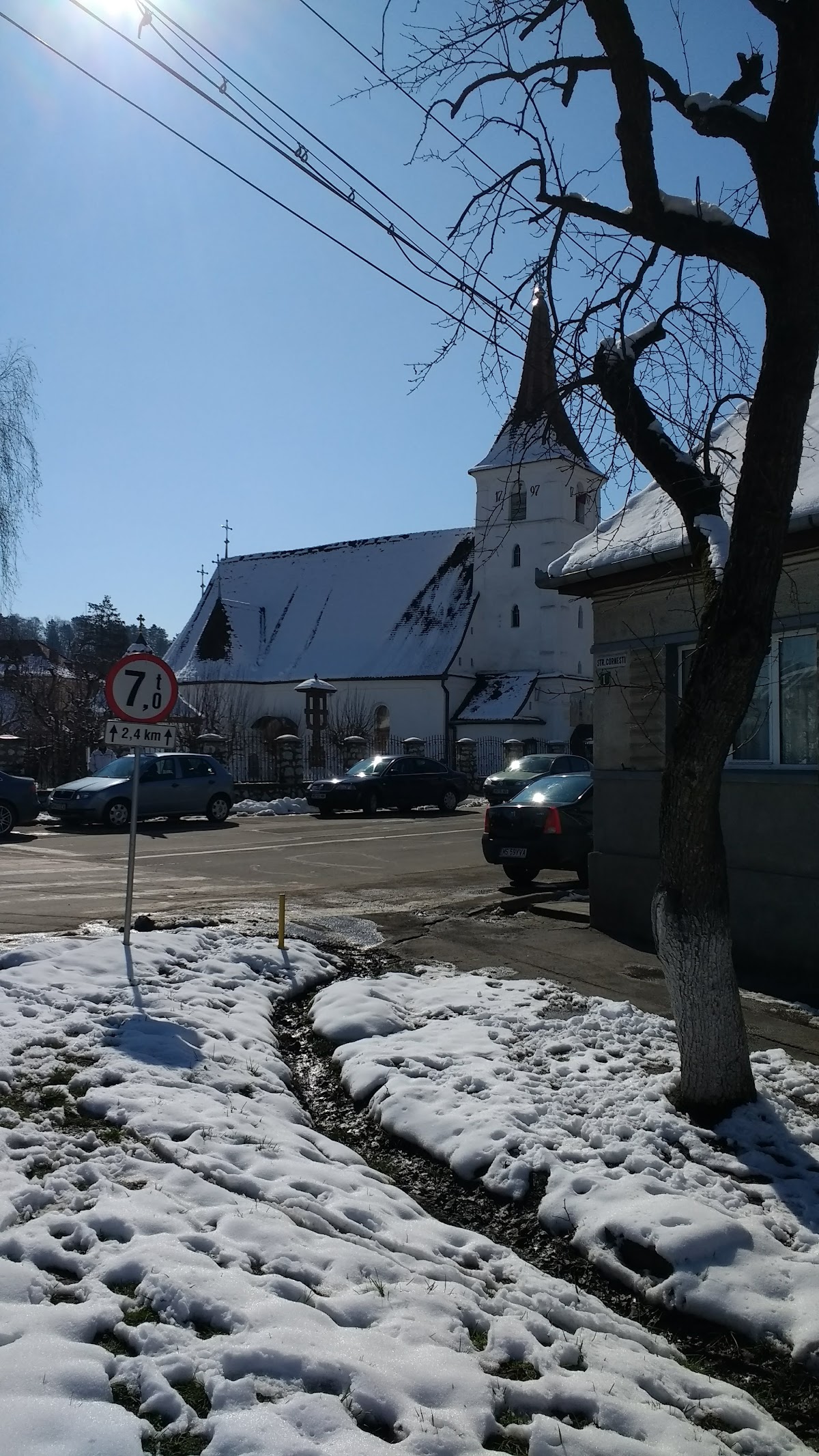 Biserica Intrarea Maicii Domnului în Biserică - foto 3