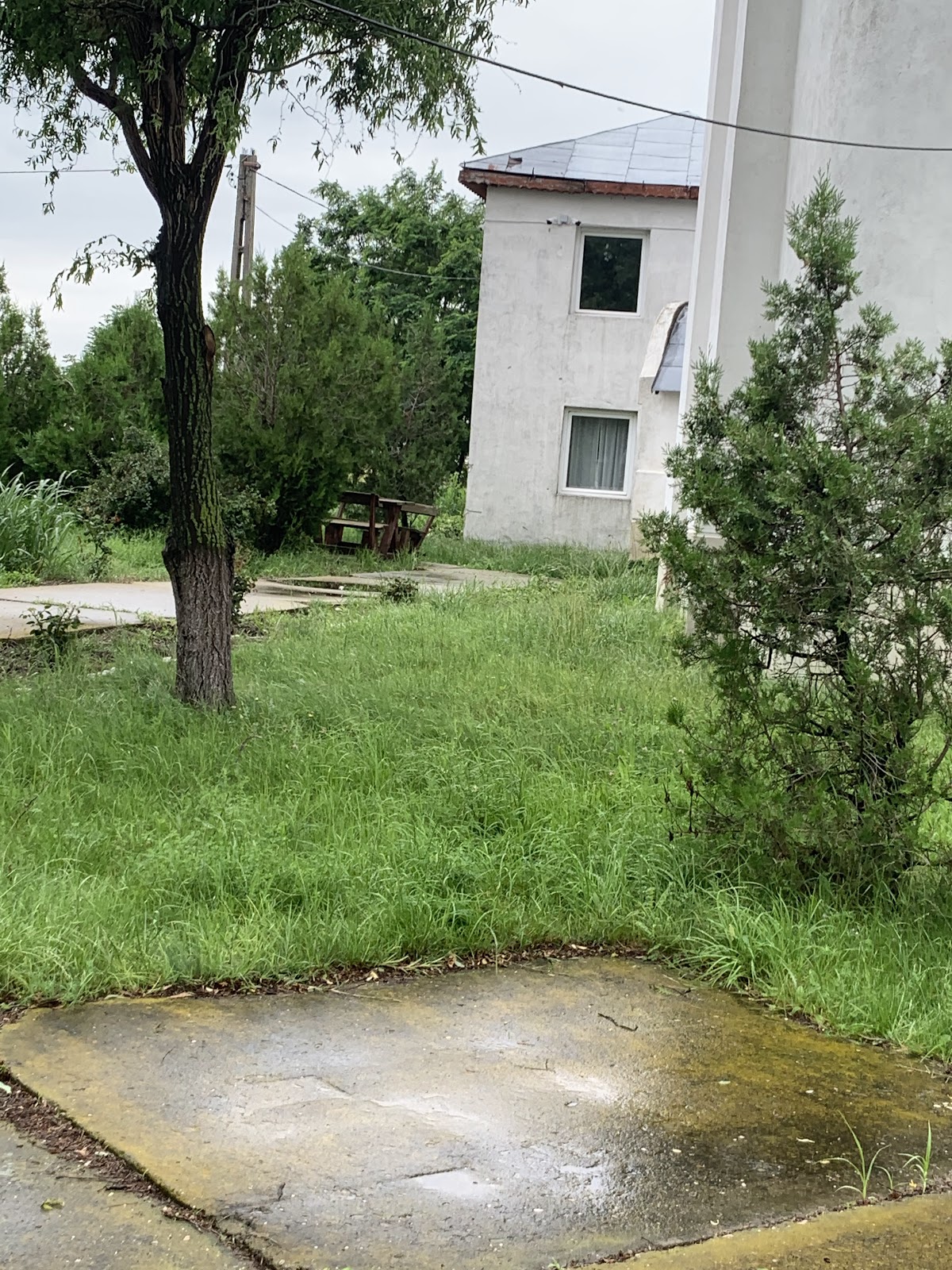 Biserica - Manastirea Izvorul Tamaduirii - foto 3