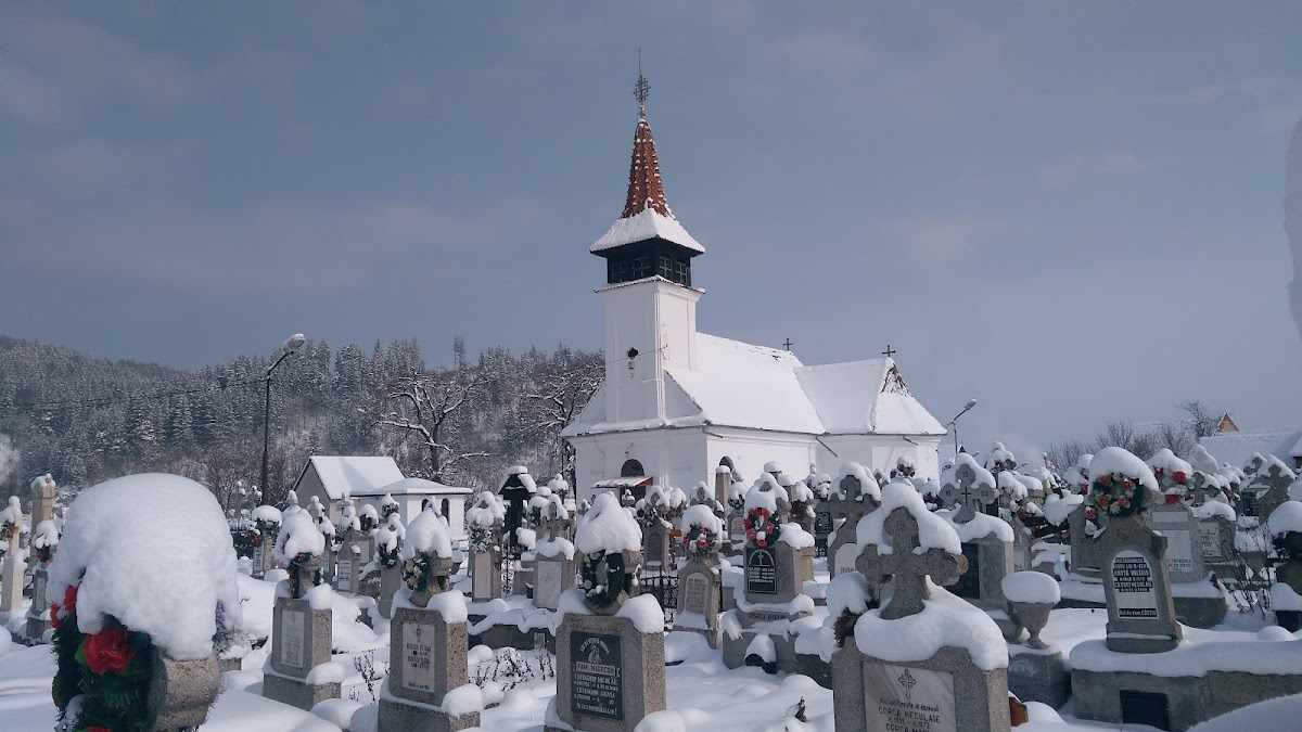 A Szűzanya Születésének Temploma Zărneșten - foto 3