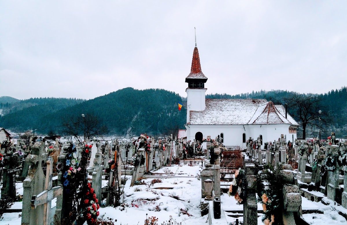 A Szűzanya Születésének Temploma Zărneșten - foto 4