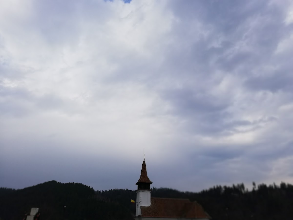 A Szűzanya Születésének Temploma Zărneșten - foto 5