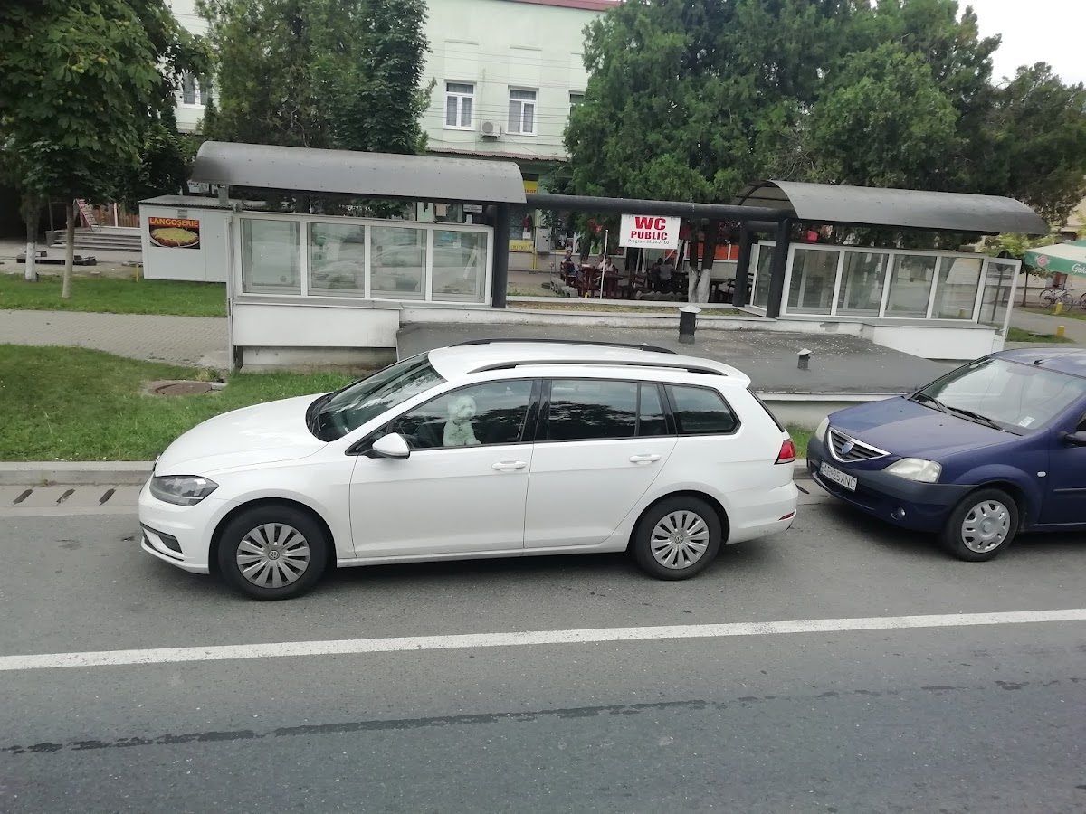 Biserica Ortodoxa Salonta 2 - foto 5