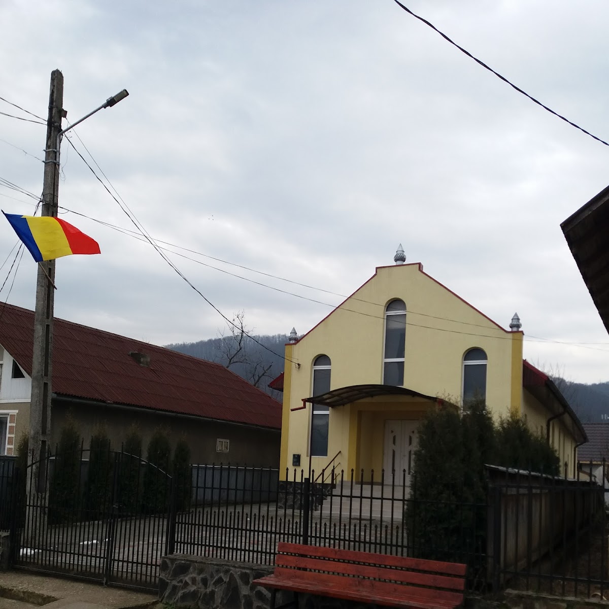 Fodora
