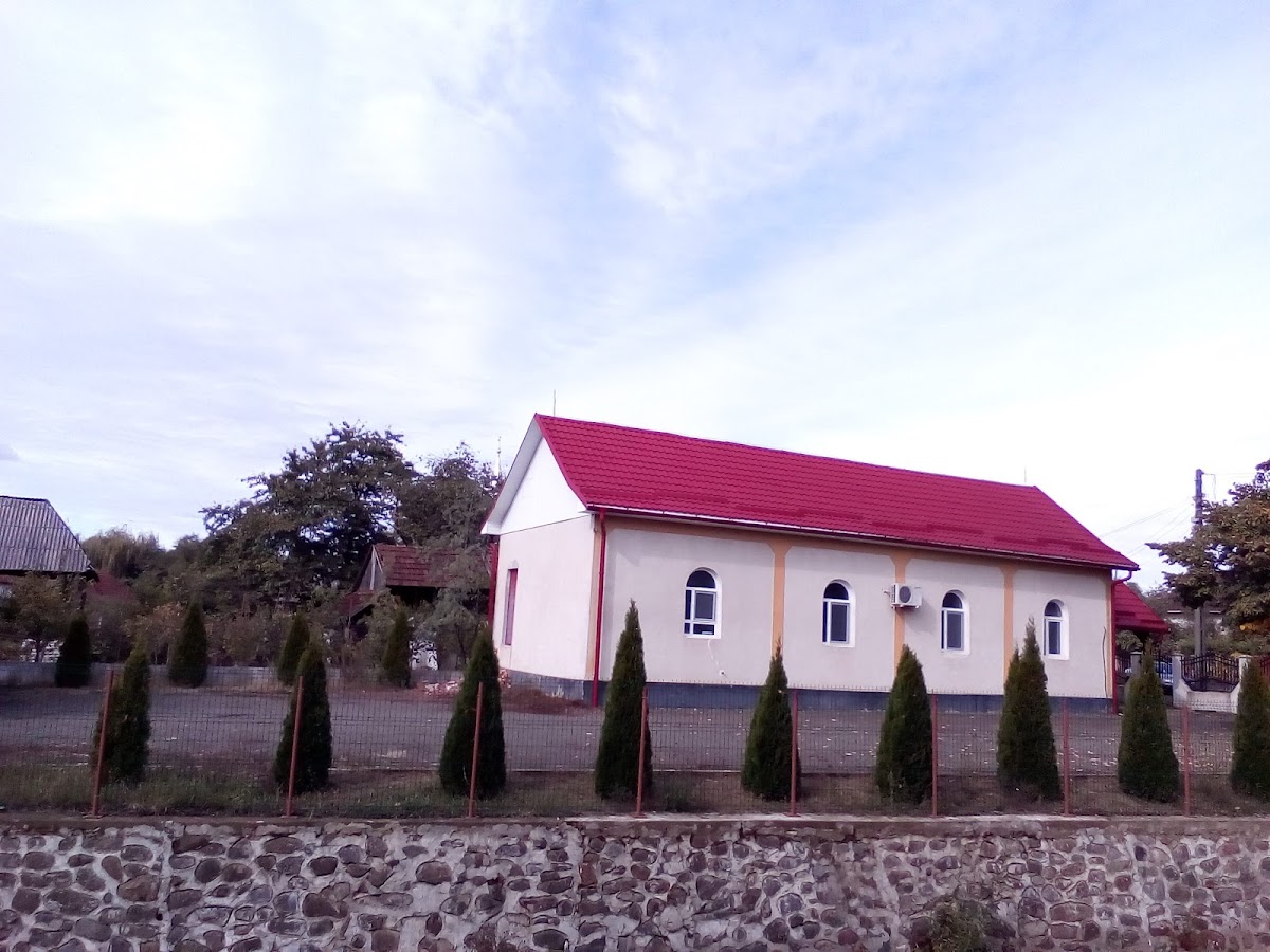 Vama
