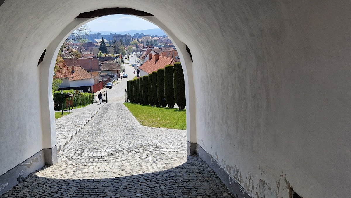 Festungsreformierte Kirche in Sfântu Gheorghe - foto 5