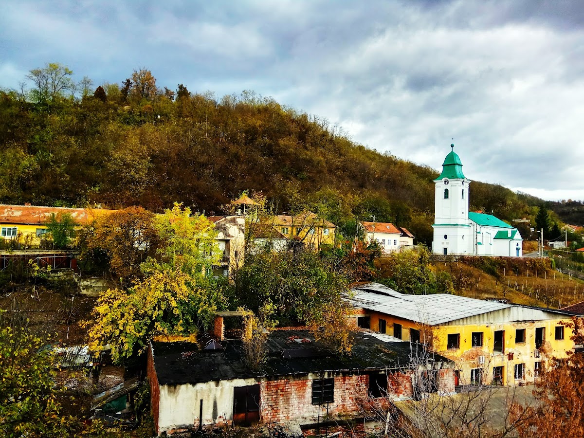 Biserica Reformată Maghiară din Șimleu Silvaniei - foto 3