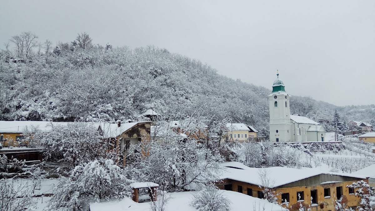 Biserica Reformată Maghiară din Șimleu Silvaniei - foto 5