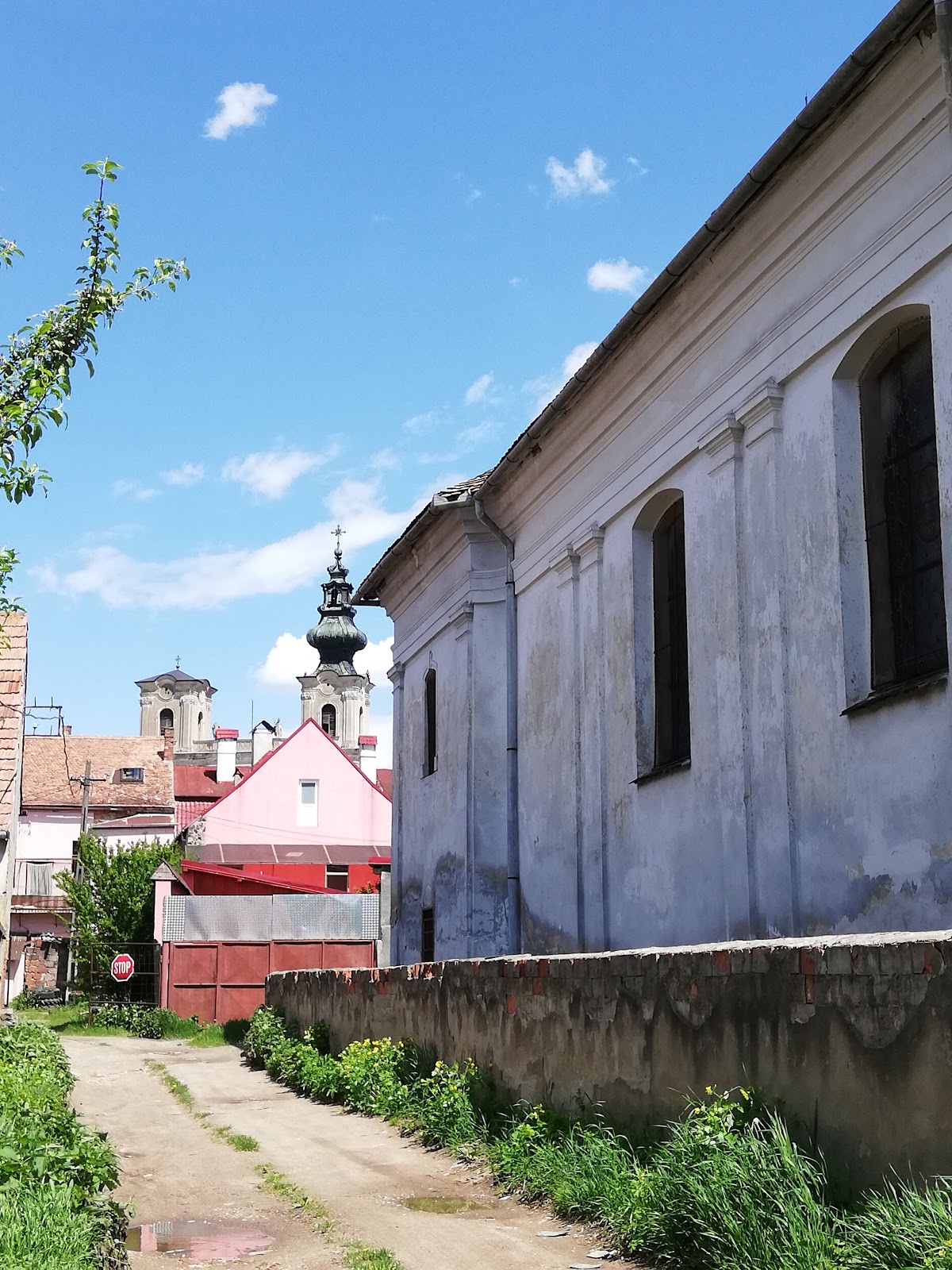 Biserica romano-catolică Sfinții Apostoli Petru și Paul - foto 5