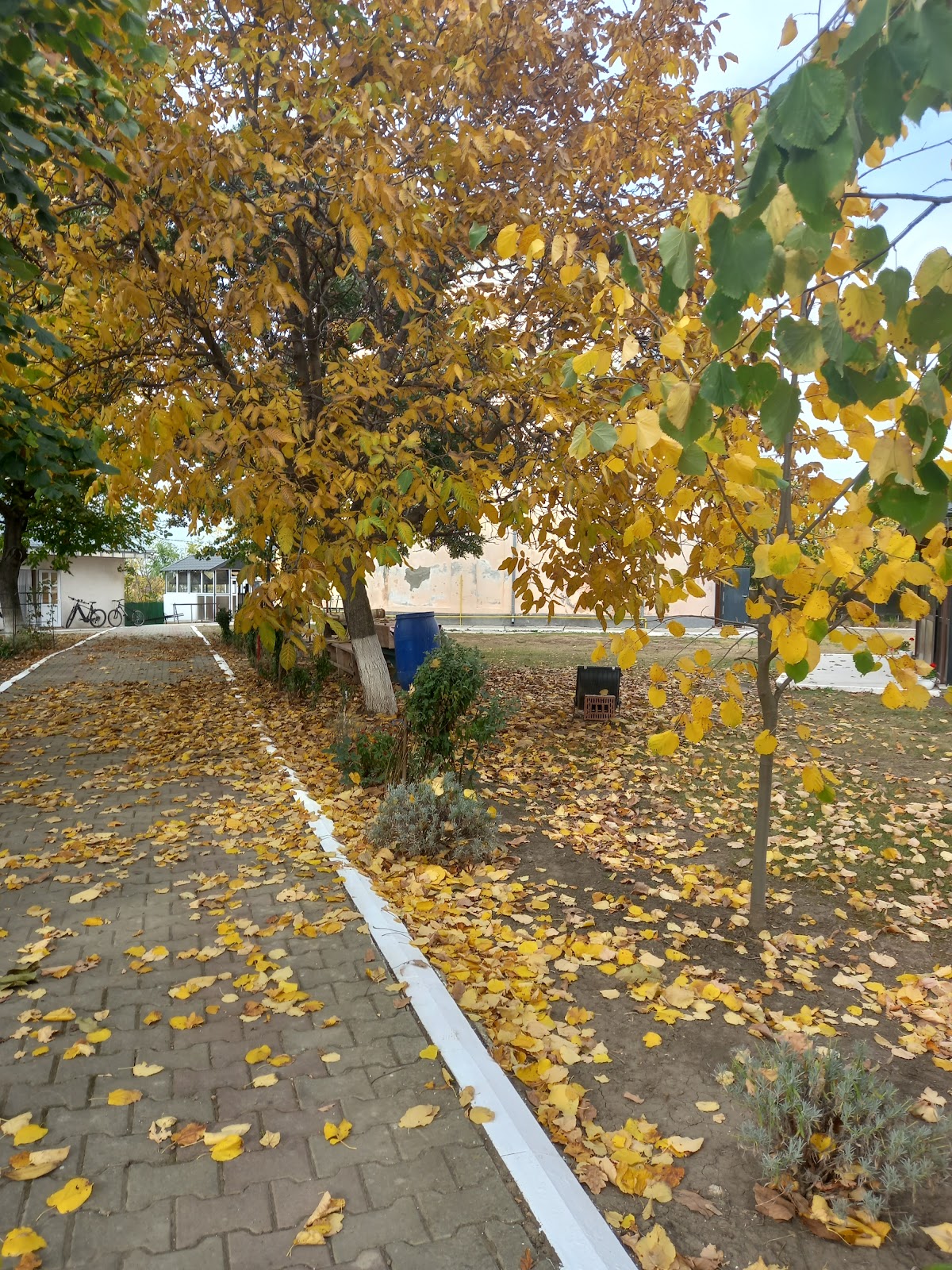CHIESA ROTONDA DI LEȚCANI - foto 5