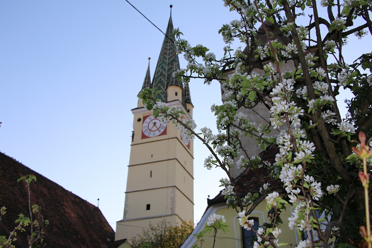 Biserica Sfânta Margareta - Biserica Evanghelică C.A. Mediaș - foto 1