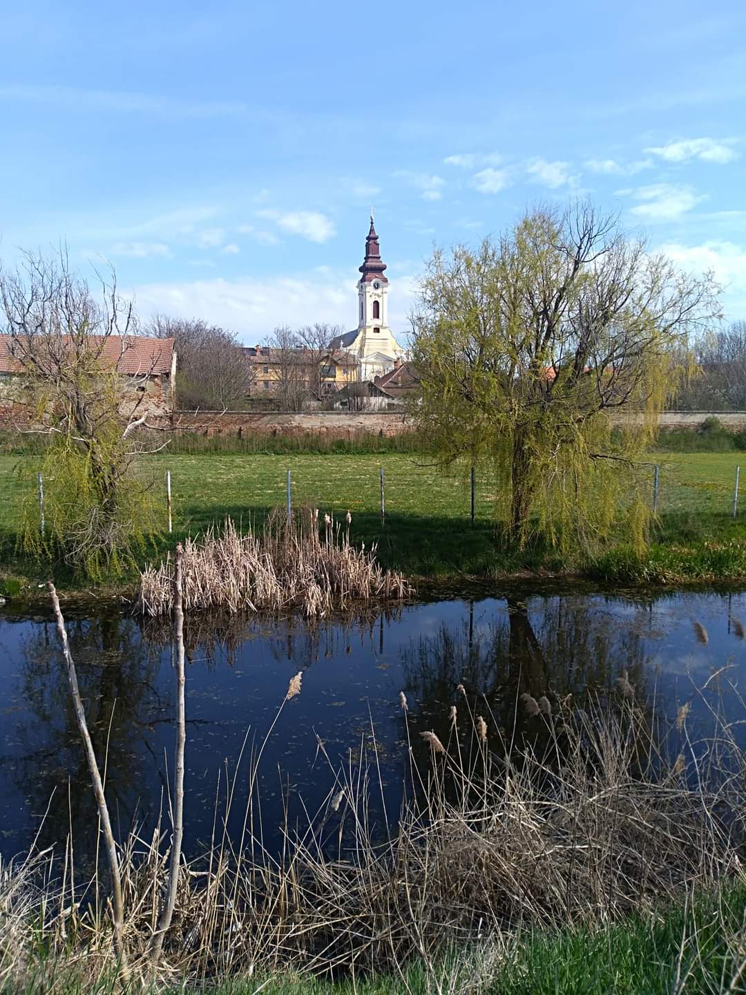 Biserica Sfânta Maria - foto 2