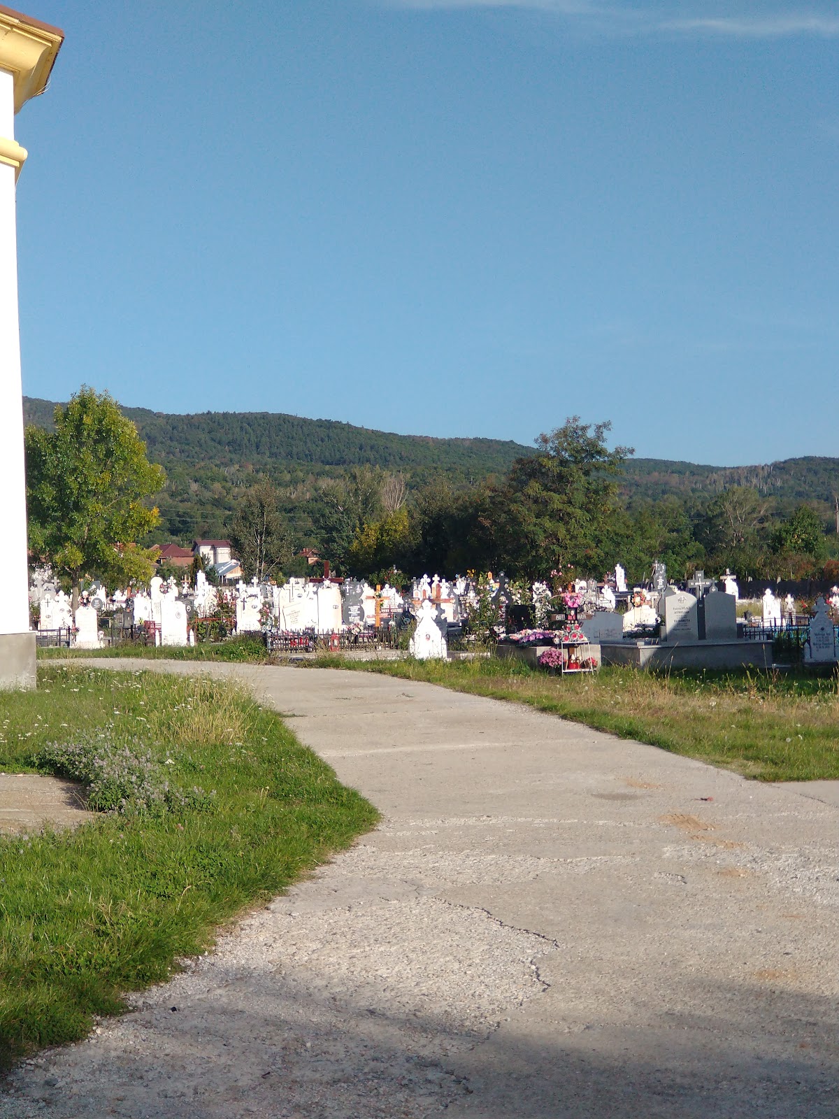 Chiesa di San Elia e Santa Parasceva - foto 3