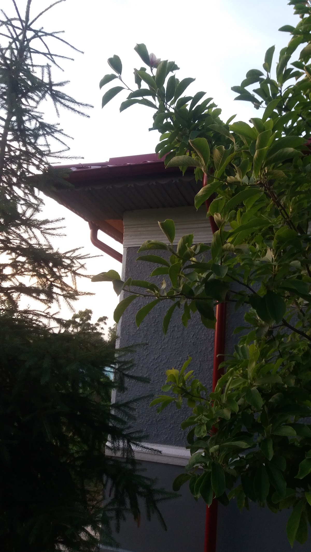 Biserica Sfântul Mare Mucenic Gheorghe - foto 3