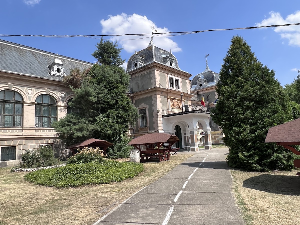 Biserica Sfântul Mucenic Dimitrie - foto 3