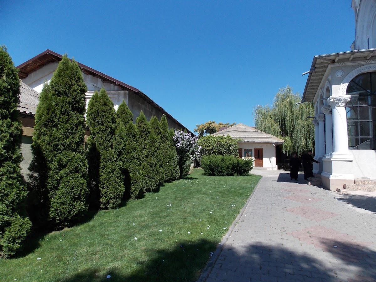 Église Saint Nicolas Borcea I - foto 5