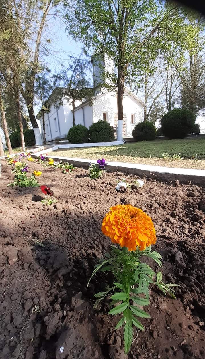 Biserica „Sfinţii Arhangheli Mihail şi Gavriil“ Barcea