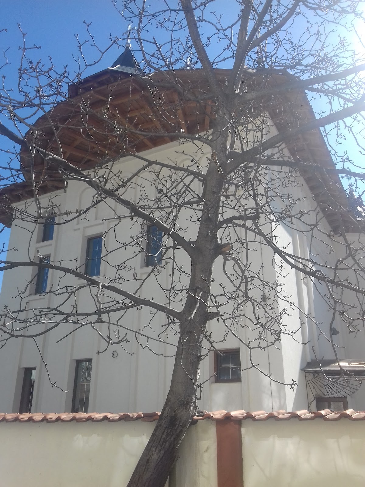 Biserica "Sfintii Parinti Ioachim si Ana" - foto 3