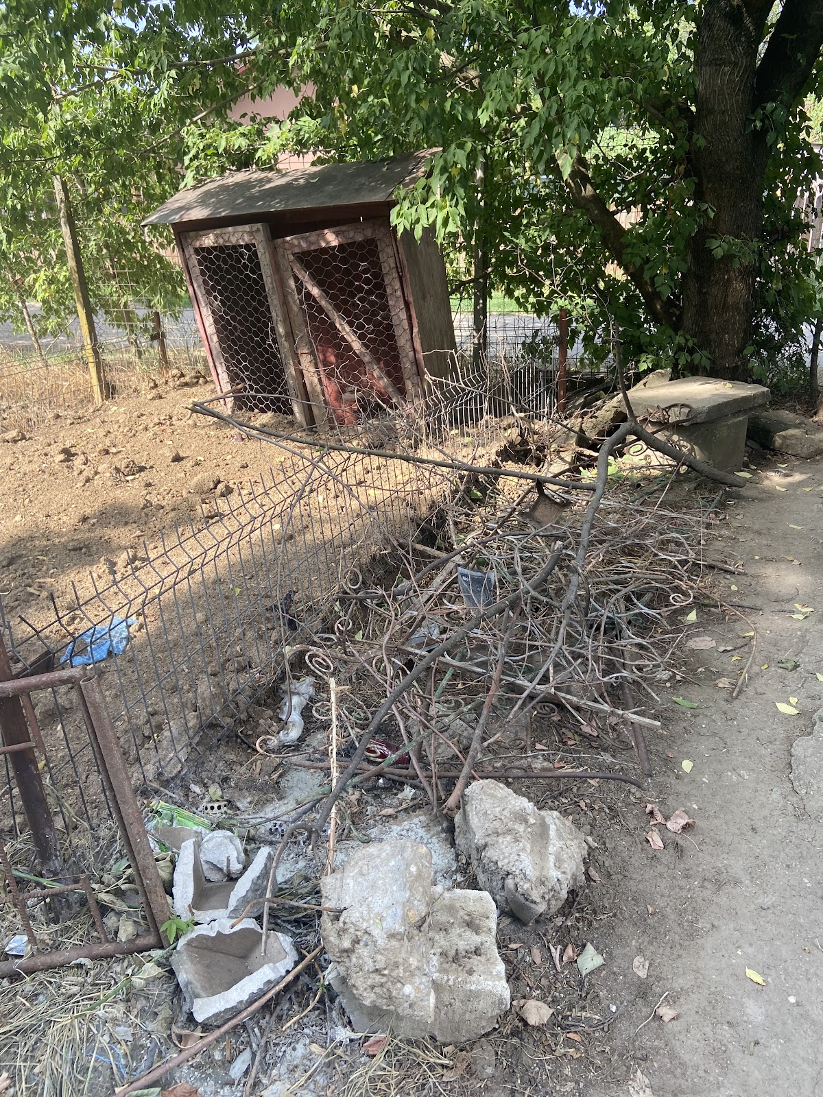 Iglesia y Cementerio Fundulea - foto 3