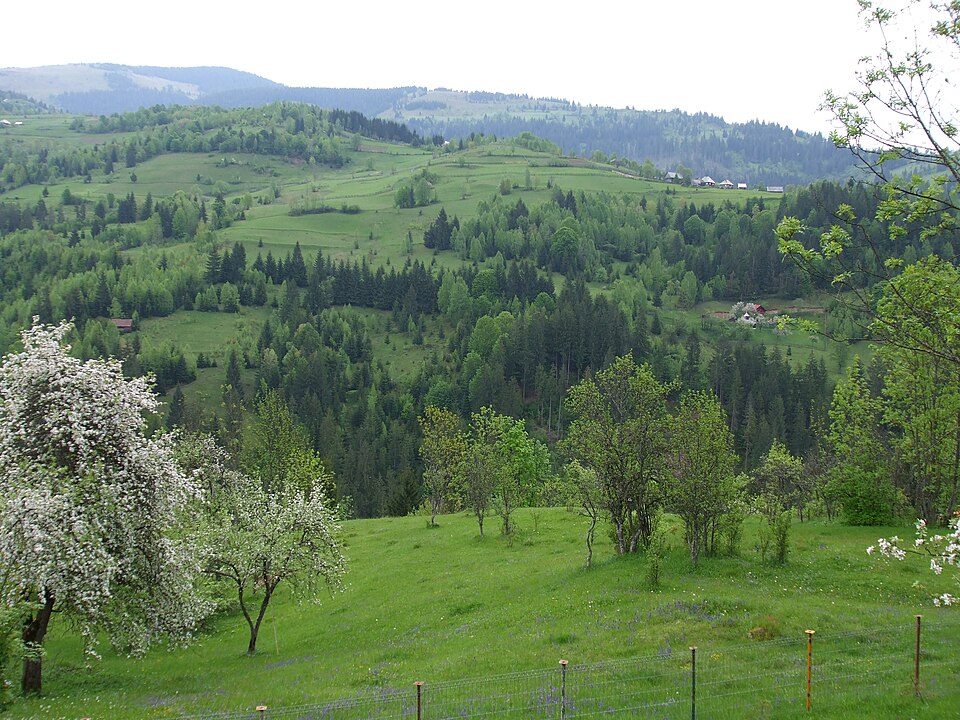 Ancienne eglise de Teiu, Teiu