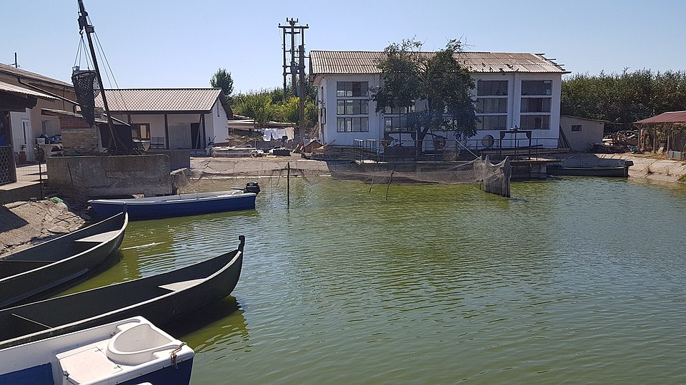 Biserica veche din Zebil, Zebil