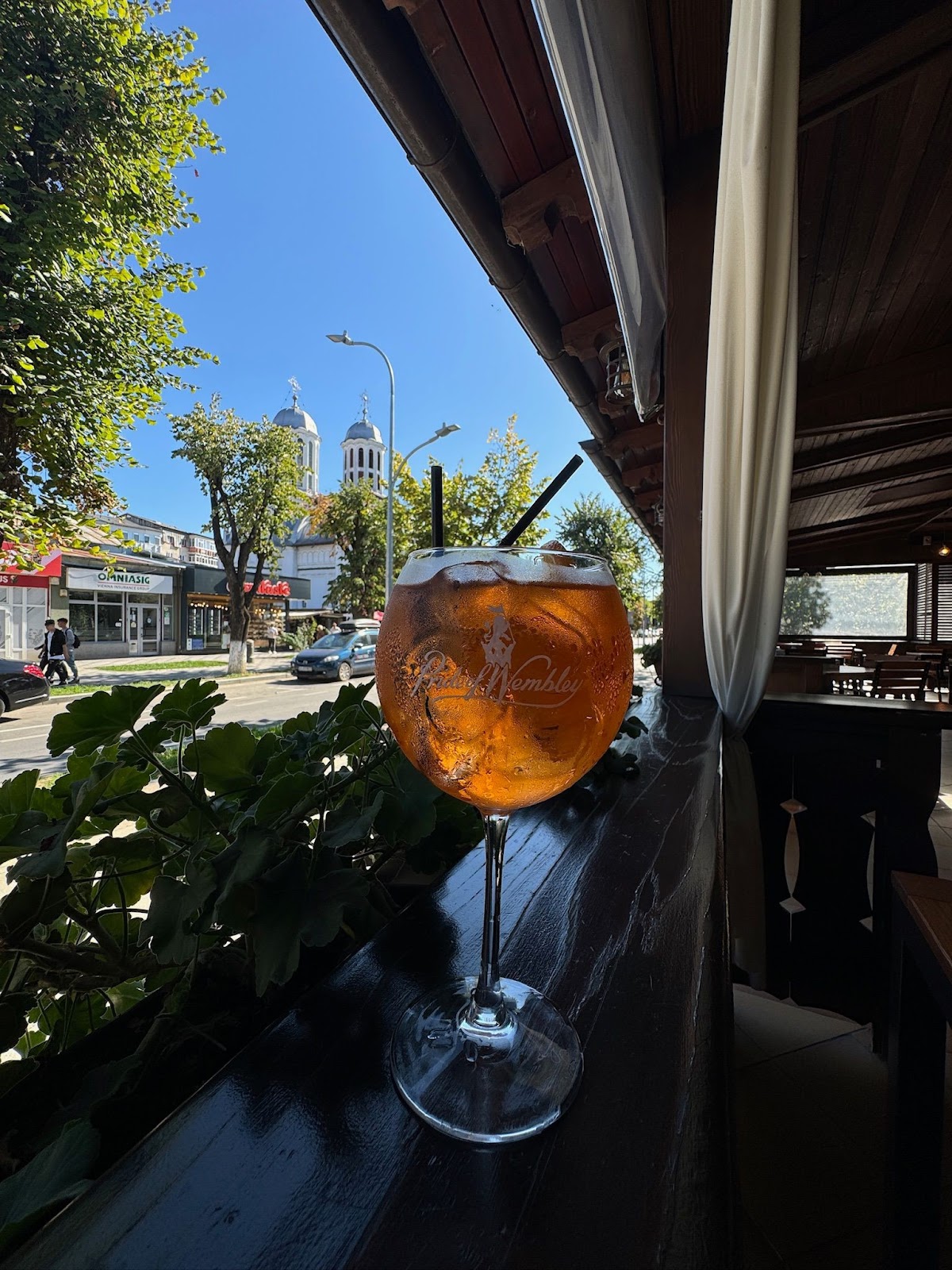 Bistro Montana - Curtea de Arges - foto 2