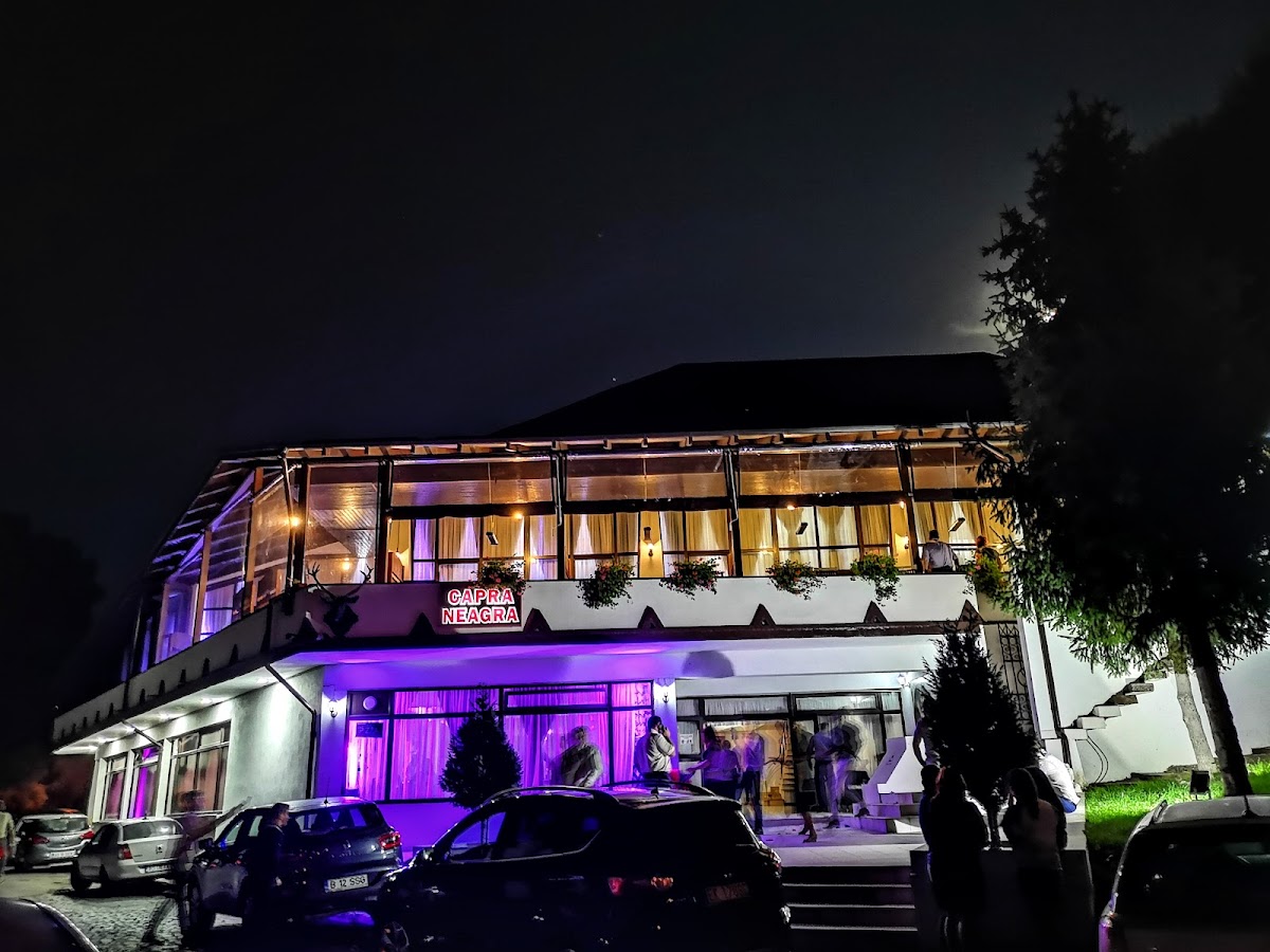 Bistro Montana - Curtea de Arges - foto 5