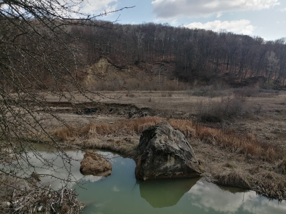 Bădila mészkőblokkjai - foto 3